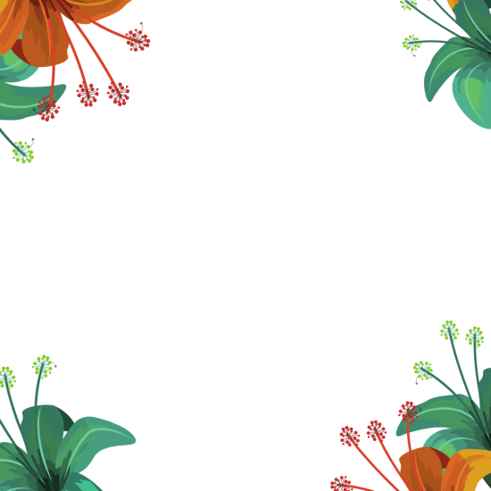 Novo Test