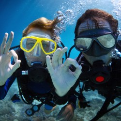 DIVING - CERTIFIED DIVERS 2